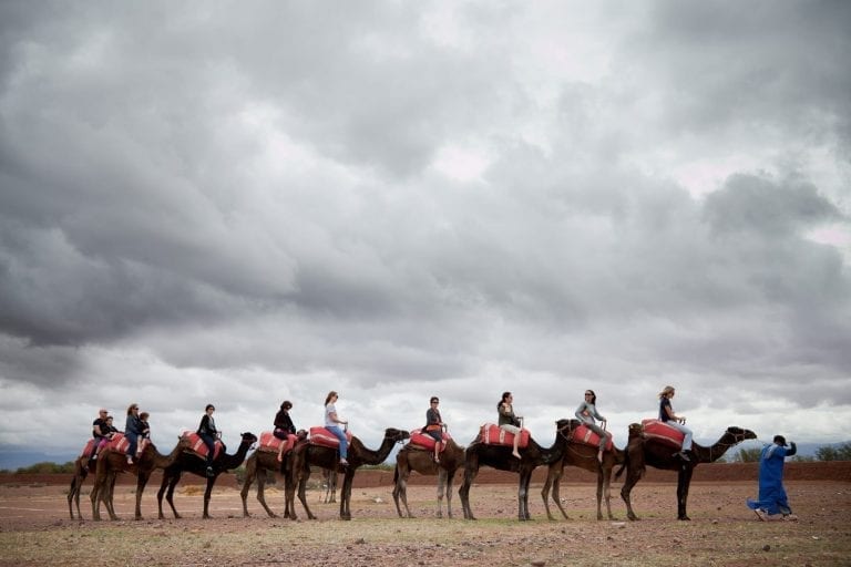 activité dromadaire marrakech