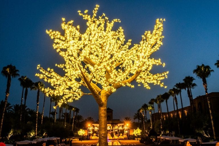 arbre lumineux mariage