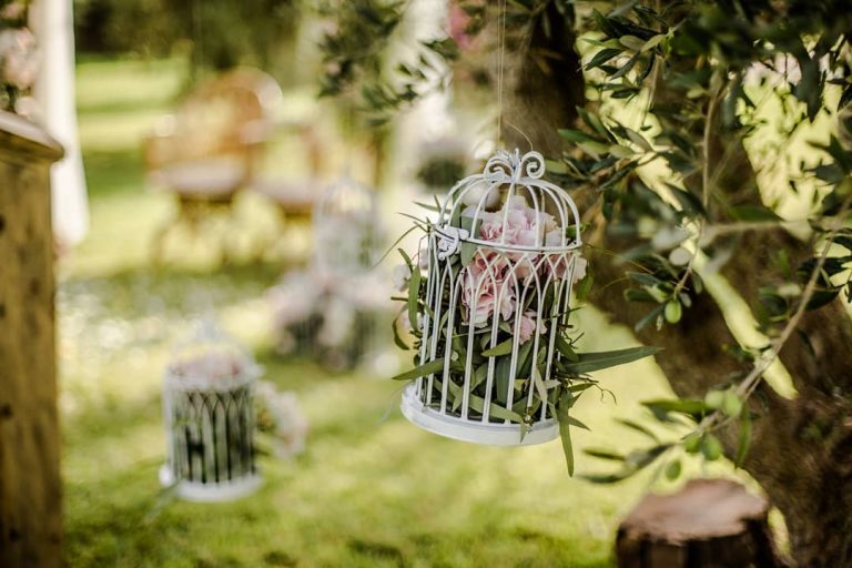 cage blanche et fleurs