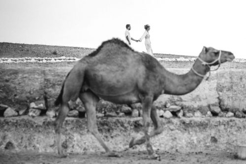 camel ride for bride