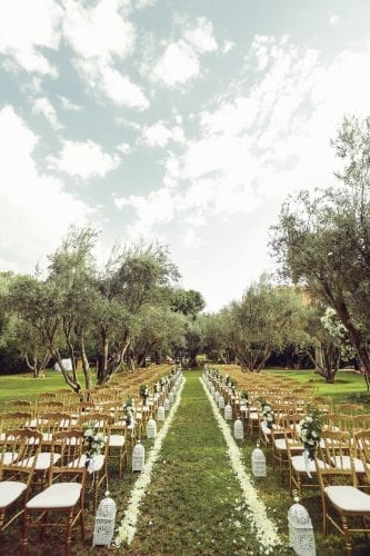 ceremonie mariage oliviers