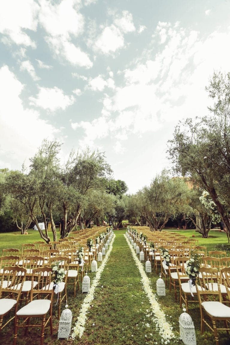 ceremonie mariage oliviers