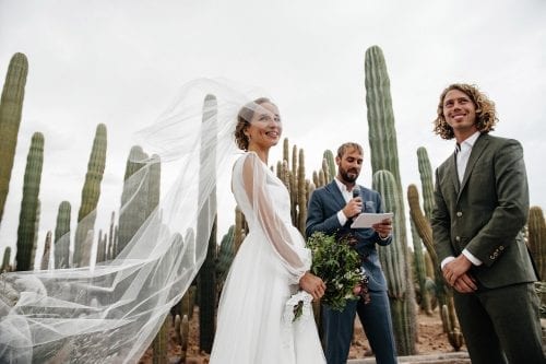 ceremonie pepiniere cactus