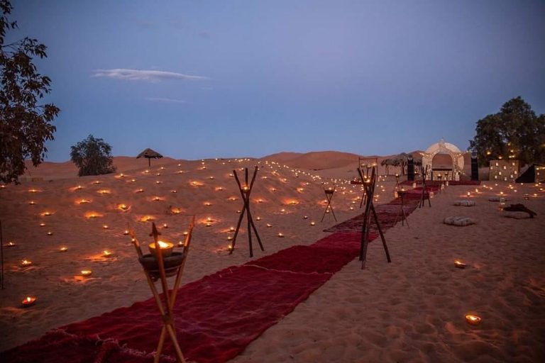 desert festival night