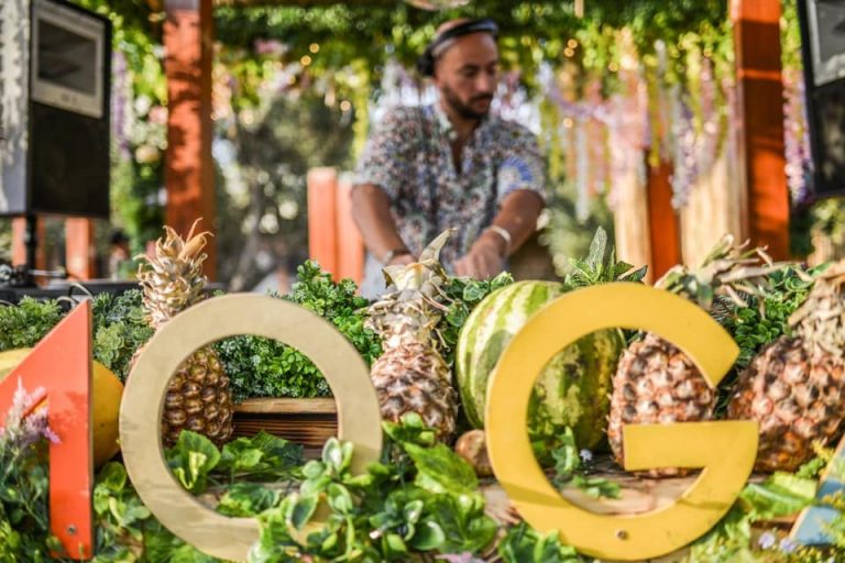 moga festival color stage