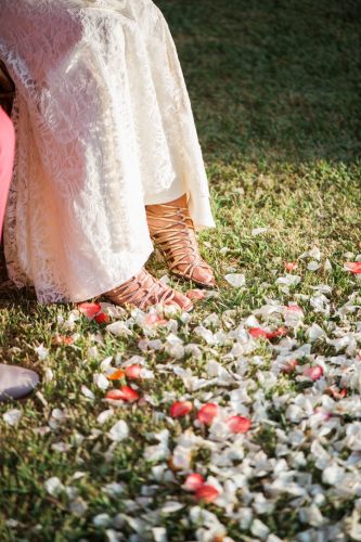 petales de rose